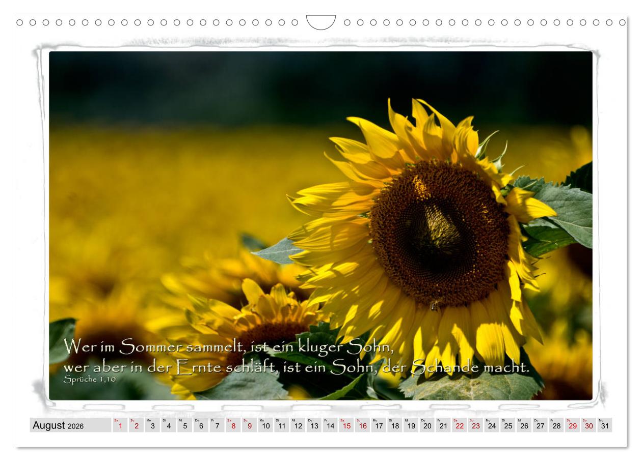 August